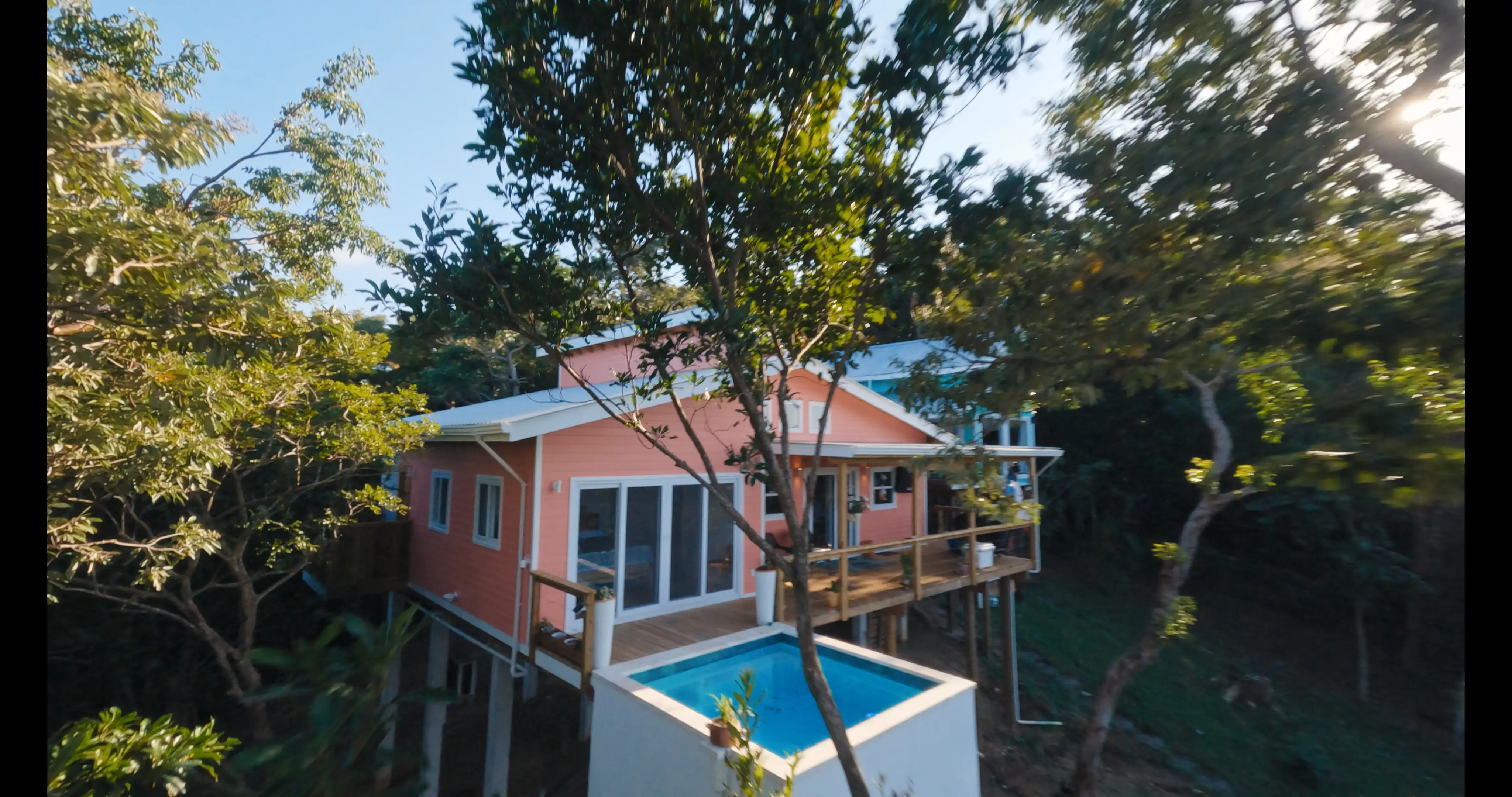 Project No Mas Pantalones